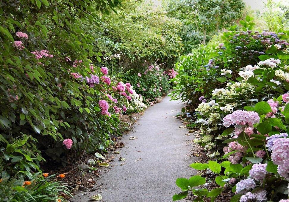 Crofton House Garden Apartment Ryde  Εξωτερικό φωτογραφία